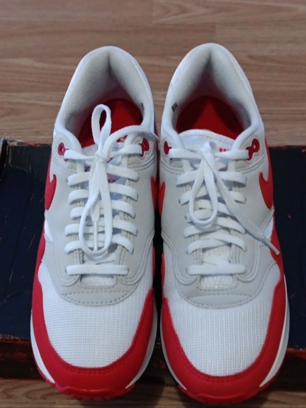 RED NIKE AIR MAX 1 Og Big Bubble
